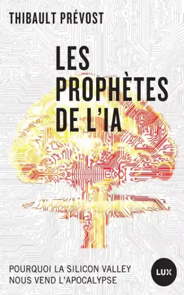 Un champignon nucléaire numérique