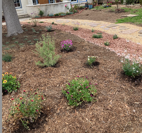 front yard. paver stones on top of gold small rock with pinkish rock on the side. Flowers in between pink rock; and then next to that a bunch of different flowers nestled in mulch.