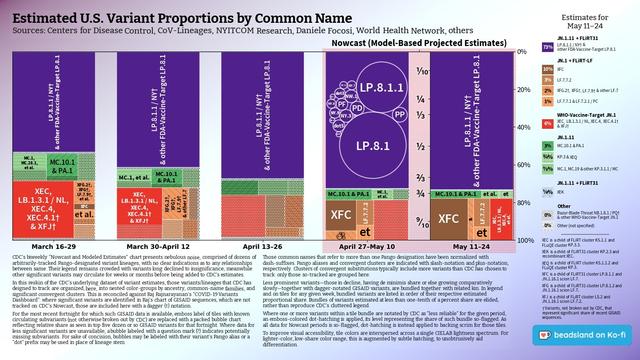 Chart: Est. U.S. Variant Proportions by Common Name
Sources: CDC, Cov-Lineages, NYITCOM, others

[ beadsland on Ko-fi ]

Reskin of CDC's Variants Nowcast, and any significant variants in GISAID not broken out by CDC.

Five bar-style tree-charts, for fortnights through 5/11–5/24. Legend of last fortnight, organized by subheadings of color-grouped families and convergent clusters. Percentages overlay each color key, reflecting share as of most recent tree-chart.

For 4/27–5/10, packed bubble charts fill single-variant tiles, reflecting GISAID detail not shown by CDC's Nowcast.

Legend:

JN.1.11 + FLiRT31 [purple]:
73% - LP.8.1.1 / NY† & other FDA-Vaccine-Target LP.8.1

JN.1 + FLiRT-LF [browns]:
10% - XFC
3% - LF.7.7.2
2% - XFG.2†, XFG†, LF.7.9† & other LF.7
1% - LF.7.7.1 & LF.7.2.1 / PC

WHO-Vaccine-Target JN.1 [red]:
6% - XEC, LB.1.3.1 / NL, XEC.4, XEC.4.1† & XFJ†

JN.1.11 [greens]:
3% - MC.10.1 & PA.1
¾% - KP.3 & XEQ
⅞% - MC.1, MC.19 & other KP.3.1.1 / MC

JN.1.11 + FLiRT31 [blue]:
¼% - XEK

Other [greys]:
0% - Razor-Blade-Throat NB.1.8.1 / PQ† & other WHO-Vaccine-Target JN.1
0% - Other (not specified)

_____


XEC is a child of FLiRT cluster KS.1.1 and FLuQE cluster KP.3.3.

XEK is a child of FLiRT31 cluster KP.2.3 and recombinant XEC.

XEQ is a child of FLiRT cluster KS.1.1.2 and FLuQE cluster KP.3.

XFC is a child of FLiRT31 cluster LP.8.1.1 and JN.1.16.1 scion LF.7.

XFG is a child of FLiRT31 cluster LP.8.1.2 and JN.1.16.1 scion LF.7.

[Add'l footnotes omitted.]