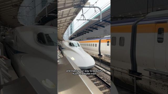 VIVE 🇯🇵 Japan Group Tour  #insidejapan #japanvlog Best Hotels in Kyoto, Shinkansen Train