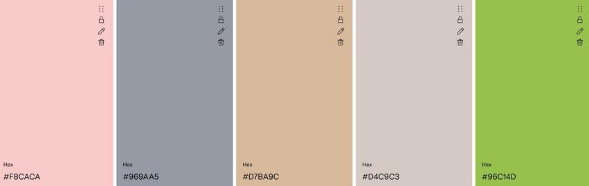 #F8CACA #969AA5 #D7BA9C #D4C9C3 #96C14D