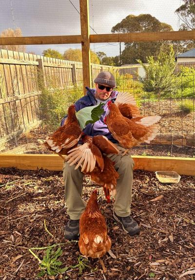 Fella sitting on a plastic chair, inside a chicken coop on a sunny morning. The chickens are all over him. They enjoy his company.

Photo posted with permission of Steve.