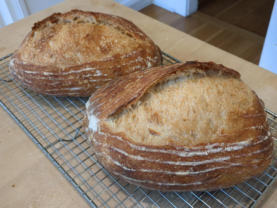 Two loaves of sourdough bread on a cooling rack.