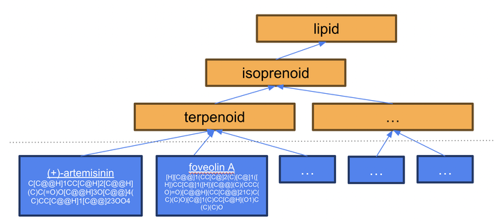 A subset of the ChEBI ontology, with terms
organized in a hierarchy. The leaf nodes typically correspond to discrete structures (e.g.
specific stereoisomers of artemisinin (CHEBI:223316)), with ground (non-wildcard) SMILES
strings, with parents and ancestors representing chemical class groupings (e.g. triterpenoid
saponin (CHEBI:61778), or more general classes such as lipid (CHEBI:18059). Although
ChEBI itself does not have an explicit distinction between classes and structures, we show
CHEMROF metaclasses indicating this additional level of organization.