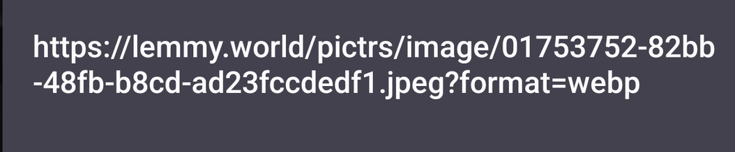 screenshot of a link to an image on lemmy.world and there's a fucking piece of shit "format=webp" tacked onto it by default

the full actual link: https://lemmy.world/pictrs/image/01753752-82bb-48fb-b8cd-ad23fccdedf1.jpeg?format=webp