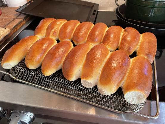 Two rows of golden brown hot dog buns cooling on a makeshift cooling rack, because my real cooling racks are still in cardboard boxes in storage along with 94% of the rest of my kitchen due to my own laziness.