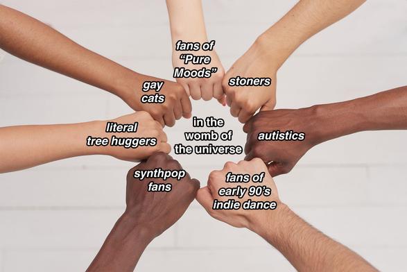 An arrangement of diverse hands forming a circle, each labeled with playful social identity groups, such as "fans of 'Pure Moods'", "stoners", "autistics", and others, with the phrase "in the womb of the universe" at the center.