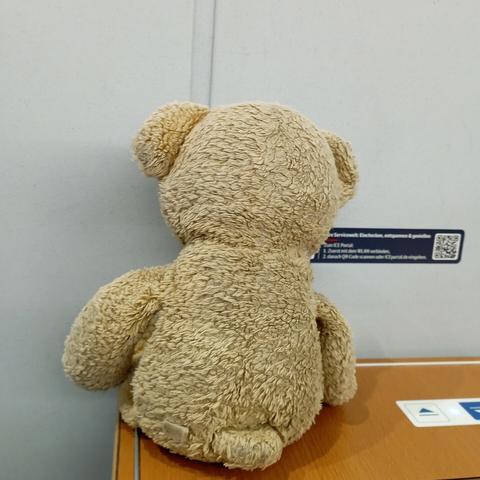 Brauner Stoffbär von hinten, der auf Tisch sitzend auf die Wand zwischen den Fenstern starrt.