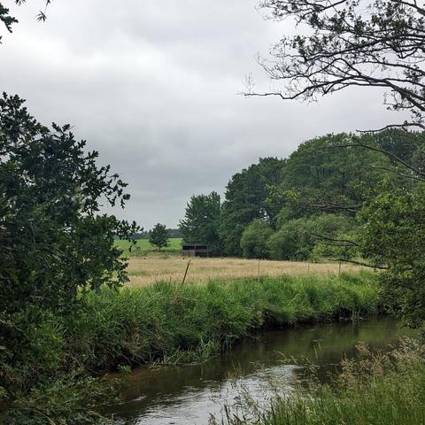 A creek in front of fields an meadows. A row of trees in the background. This is the Photo reference für the painting