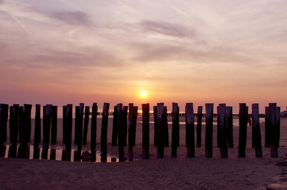 Blick auf zwei dicht hintereinander stehende Reihen Buhnen die quer durch das Bild gehen und horizontal in der Bildmitte enden. Es ist Ebbe, nur kleine Wasserpfützen sind vorne im Sand. Weiter hinten sieht man noch das Nordsee. Die Sonne geht in der Bildmitte unter, steht ganz knapp über den Buhnen. Die Szenerie ist in Orangetönene, am obenen BIldrand hat der Himmel noch einen leichten hellblauen Stich. Ein paar Schleierwolken sind zu sehen.
