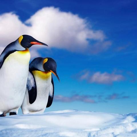 Il mondo si riscalda ma la calotta antartica cresce. Come mai?