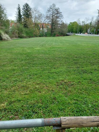 Eine frisch gemähte Wiese, links Gebüsch und Bäume, rechts eine Straße, hinter der Wiese und den Bäumen stehen Häuser.
