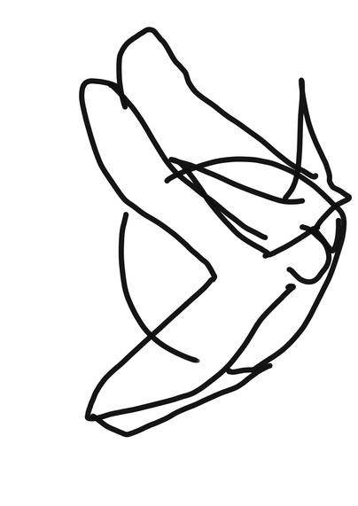 A doodle of a ball with head fin wing things two each pointy sunglasses and a cat mouth.
