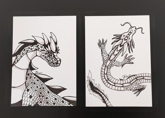 Ihr seht links einen Drachen ohne Flügel, der etwas robuster erscheint. Er hat starke Hörner auf dem Kopf und mehrere herausragende spitze Rückenschuppen. 
Rechts ist ein Drache, den man von oben betrachtet. Er ist ähnlich wie asiatische Drachen schlangenartig, besitzt viele Schuppen und auch keine Flügel.