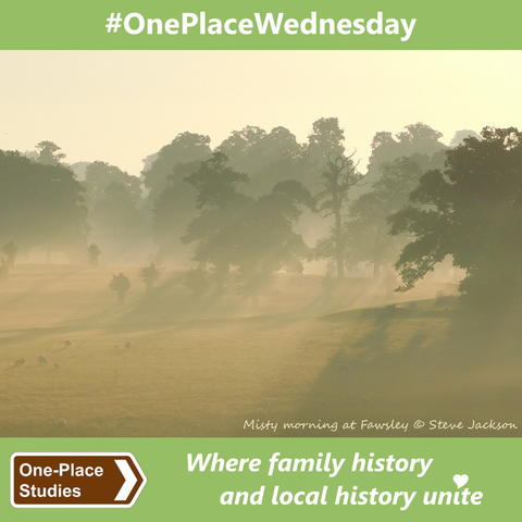 #OnePlaceWednesday. 
Image: Photo of some parkland (sheep pasture with lots of trees) at Fawsley in Northamptonshire on a misty morning in early Summer. Colours are muted, the overall tone is golden brown, and shafts of sunlight cut through gaps between the trees and light up the mist. The shapes of a few sheep can be seen in the bottom left corner of the scene. 
One-Place Studies, where family history and local history unite.
