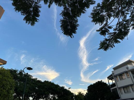 The sky seen through roadside tree plantings on both sides of the road, above and below the image. The sky is filled with strange, contorted cloud shapes of white clouds blown in all directions by strong, high-altitude winds, quite unlike usual formations.