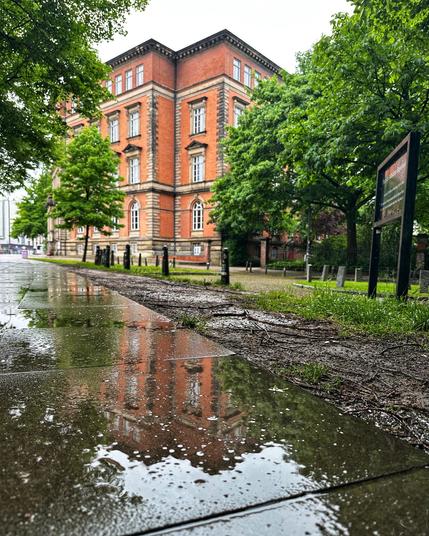 Ein Backsteingebäude mit mehreren Fenstern spiegelt sich in einer Pfütze auf einem nassen Bürgersteig wider. Üppig grüne Bäume säumen den Weg, und die Szene erscheint bedeckt, was auf kürzlichen Regen hindeutet.