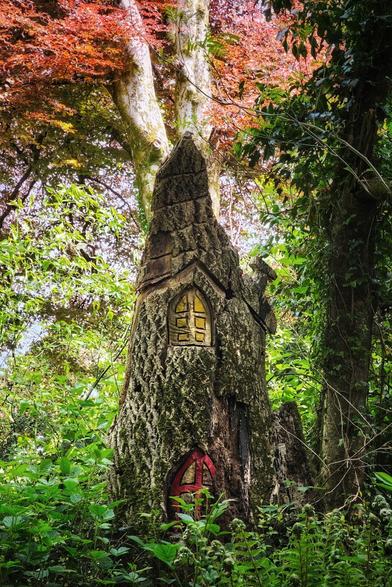 A close-up, low-angle shot of a tall, moss-covered tree stump carved into the shape of a whimsical, pointy-roofed dwelling with a glowing yellow window and a small red door. The tree is surrounded by lush green foliage and dappled light, with vibrant red leaves visible at the top. The scene evokes a sense of magic and enchantment within a dense forest.