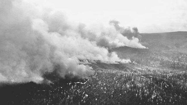 Общий план с воздуха: черно-белая фотография забайкальского леса, по которому идёт пожар, половина кадра состоит из густого дыма, носимого ветром