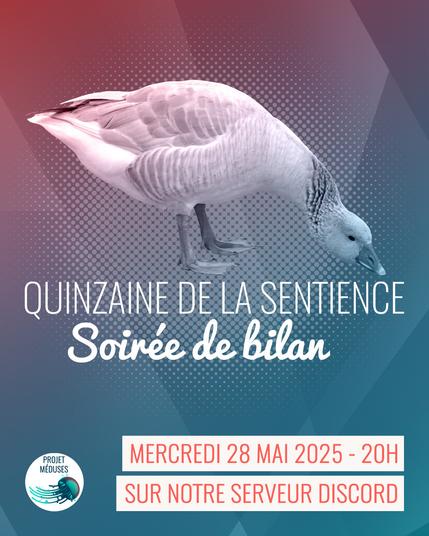 Visuel dans les tons de bleu montrant une oie la tête baissée vers le sol, avec les mêmes informations que le post.
