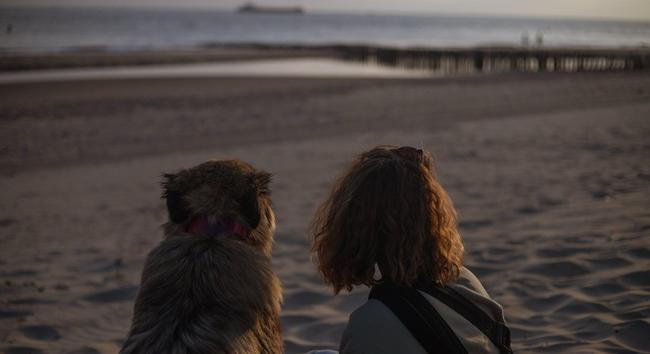 Frau und Hund am Strand im Sonnenuntergang