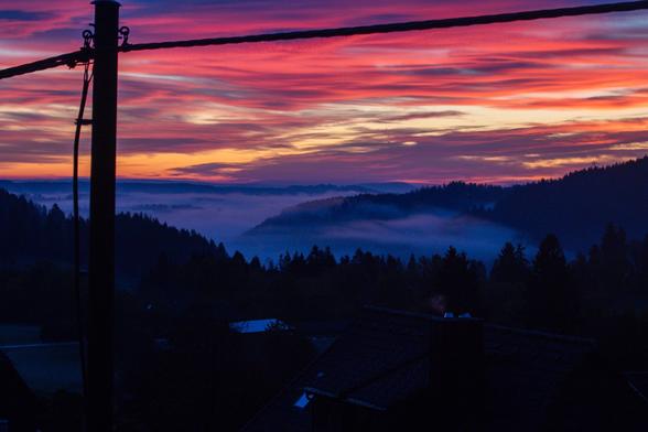 A vibrant sunset casts pink and orange hues across the sky, with layers of fog blanketing the distant hills and valleys. In the foreground, silhouettes of trees and rooftops are visible, along with a power pole and power lines framing the scene.