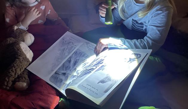 Das Bild zeigt, neben einem Kuscheltier, die Arme von zwei Kindern, die sich im Dunkeln mit leuchtender grüner Taschenlampe ein Buch anschauen.