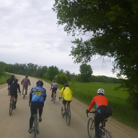 A group of bicycle riders on a gravel road in the early evening dusk.  The road fills the lower center of the photo, then narrows in the picture as it goes into the distance and veers off in the top left corner of the photo.  The riders are wearing various colored jerseys and jackets under a cloudy evening sky. On the right side of the photo a large tree overhangs the road from lower right to center top and right. A green field with more trees can be seen in the distance.