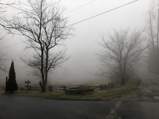 Foggy rural scene with bare trees and a wooden fence lining a wet road. The sky is overcast, creating a serene, mysterious atmosphere.