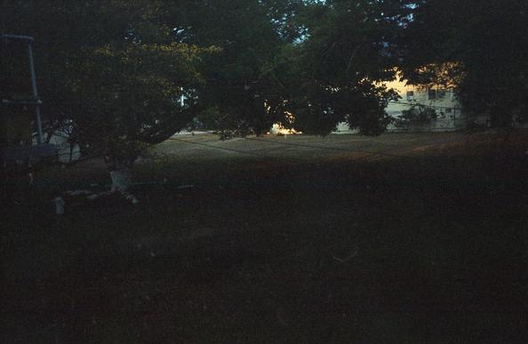 A dark scene with the hint of a tree