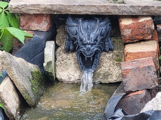 A dragon "gargoyle" spitting water into a pond, surrounded by bricks.