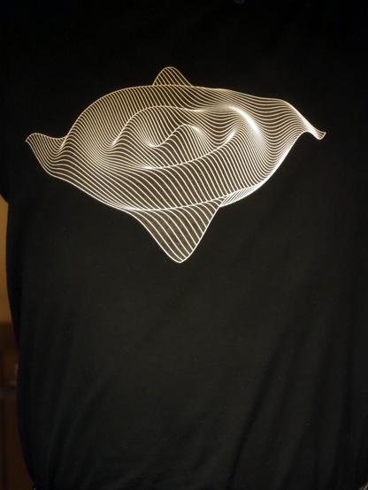 The design "Pulse," an oscillatory function of two variables graphed as closely-spaced white slices on a black T-shirt.