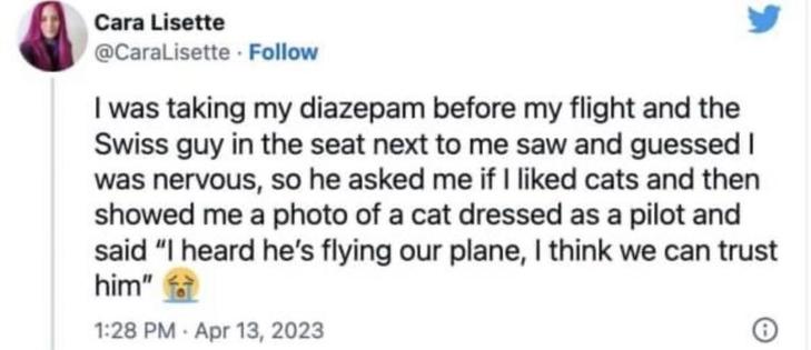 Cara Lisette's tweet reads: "I was taking my diazepam before my flight and the Swiss guy in the seat next to me saw and guessed I was nervous, so he asked me if I liked cats and then showed me a photo of a cat dressed as a pilot and said 'I heard he’s flying our plane, I think we can trust him' 😭" 

The tweet is posted on April 13, 2023, at 1:28 PM.