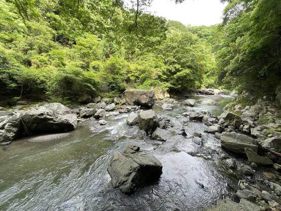 Mountain river