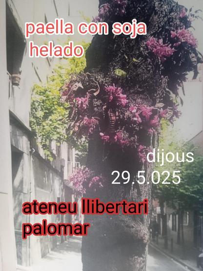 Menjador: Kilombo
