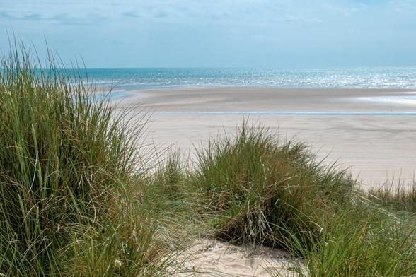 Wir stehen in den Dünen, vor uns Büschel strubbeliges Dünengras. Vor uns liegt ein sehr breiter Strand, mit ein Wasserlauf zwischen uns und dem ruhigen Meer. Die Sonne scheint von links und lässt das Wasser glitzern.

We're standing in the dunes, with tufts of shaggy dune grass in front of us. A very wide beach stretches before us, with a stream between us and the calm sea. The sun shines from the left, making the water glisten.