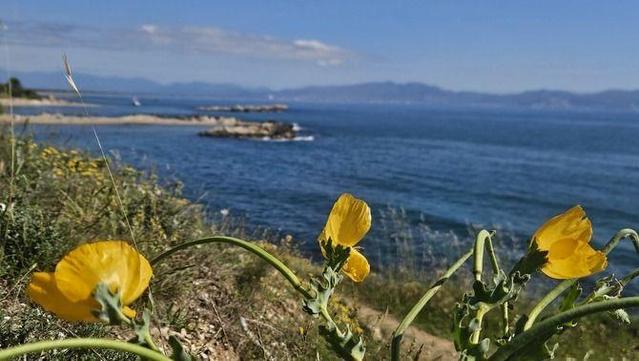 L'ambient d'estiu s'avança a L'Escala (Marta Parés)