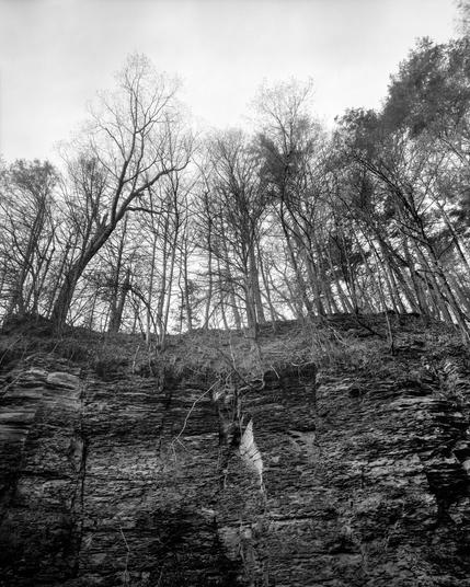 Slate and trees in first leaf at sunrise. Maplewood Creek near Cayuga Lake. 2025-04-29 6:23am. Town of Ulysses, Finger Lakes, upstate NY. 

Camera: Gowland 8x10. Lens: Wollensak Series III 159mm f/12. Film: Fomapan 100 (rated at 400). Exposure: 21 sec at f/45. Process: HC-110 1+31 10:12 at 21.6 C (Massive Dev Chart N+2 adjusted for temperature).