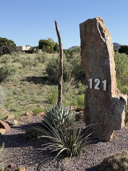 The flower stalk emerges from an agave. It’s currently growing about 20cm (8 inches) per day. It stands next to a rock with the numbers 121 on it.