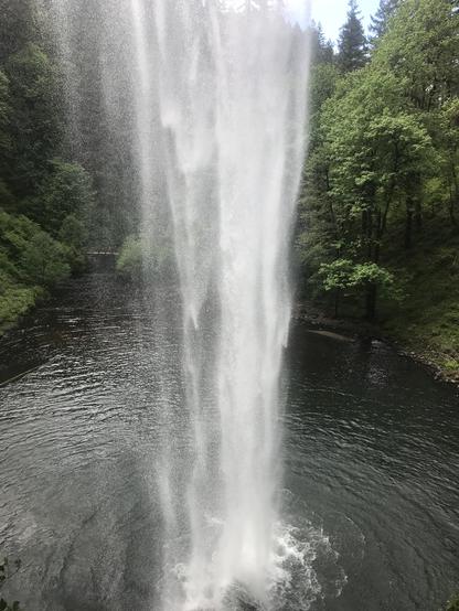 A waterfall is shown from behind, landing in a wide section of creek that is otherwise fairly calm. Thick trees line both banks of the creek.