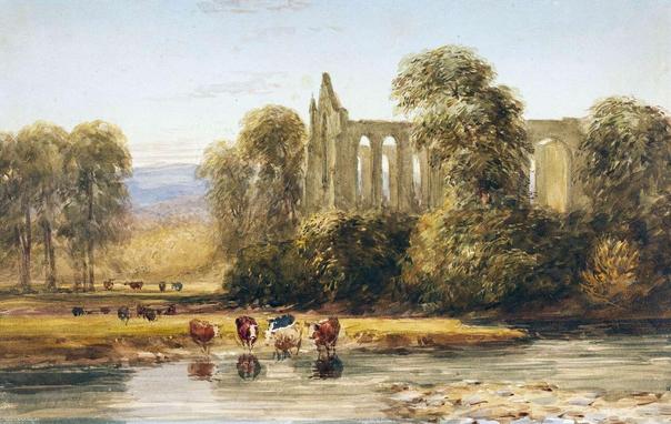 Ruined abbey walls stand amidst lush greenery beside a serene river. Several cows gather near the water's edge, creating a peaceful rural scene under a soft, muted sky.