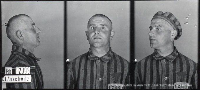 A mugshot registration photograph from Auschwitz. A man with a shaved head wearing a striped uniform photographed in three positions (profile and front with bare head and a photo with a slightly turned head with a hat on). The prisoner number is visible on a marking board on the left.