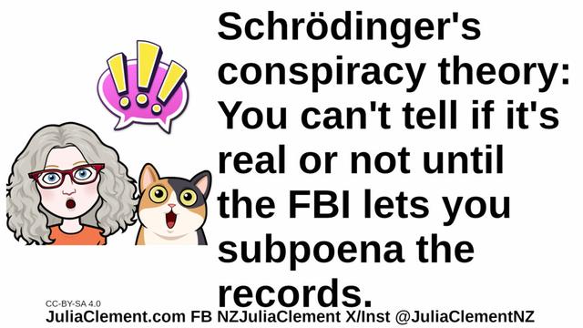 Julia and a cat express extreme surprise. Text: Schrödinger's conspiracy theory: You can't tell if it's real or not until the FBI lets you subpoena the records.
