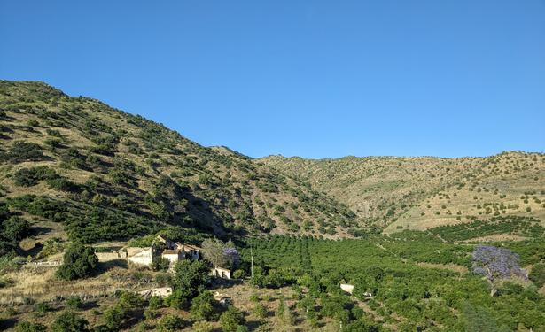 Rolling, green, olive tree covered hills in the Spanish countryside.