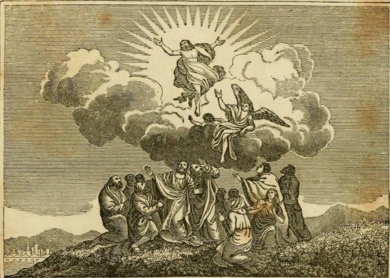 A 19th-century engraving: Jesus floats in the sky, against the backdrop of a radiant sun, above a large cloud that hides him from a cluster of apostles gathered on a hilltop, cowering together, alarmed and likely afraid.