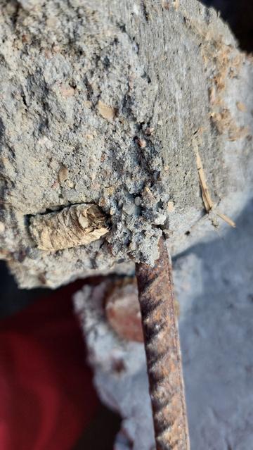 Ein Bruckstück grauer Beton mit einem Zigarettenstummel drin.