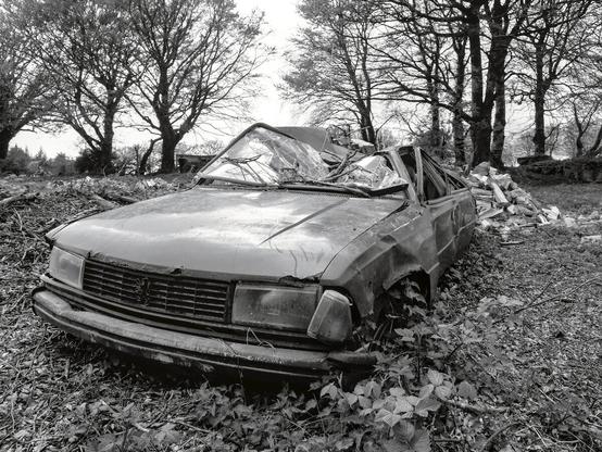 A car with a smashed roof in a tree-lined field