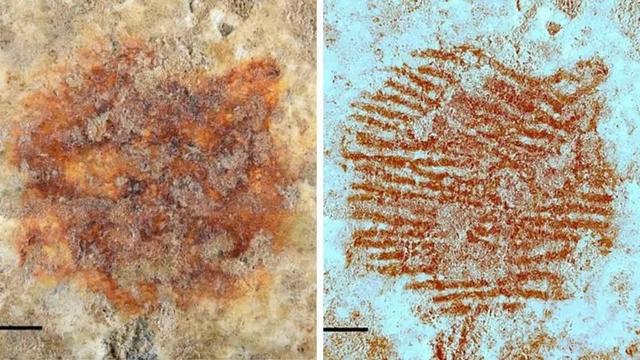 On the left picture the red dot, on the right one a fingerprint. 
Multi-spectrum analysis led to the identification of a fingerprint from the dot