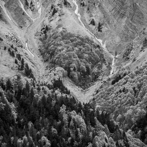 Photo noir et blanc.
Dans une pente raide et pierreux, veiné de névés, un bosquet forme une île. Plus bas, l'étage densément boisé.