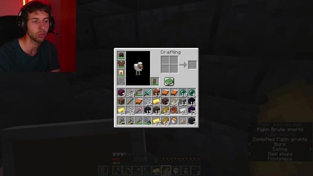 🔴Minecraft, ma sono un pollo...